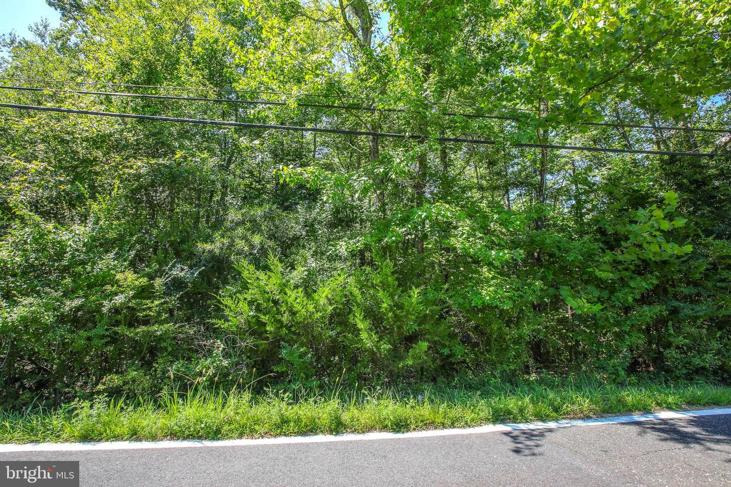 16950 Property Photo 12