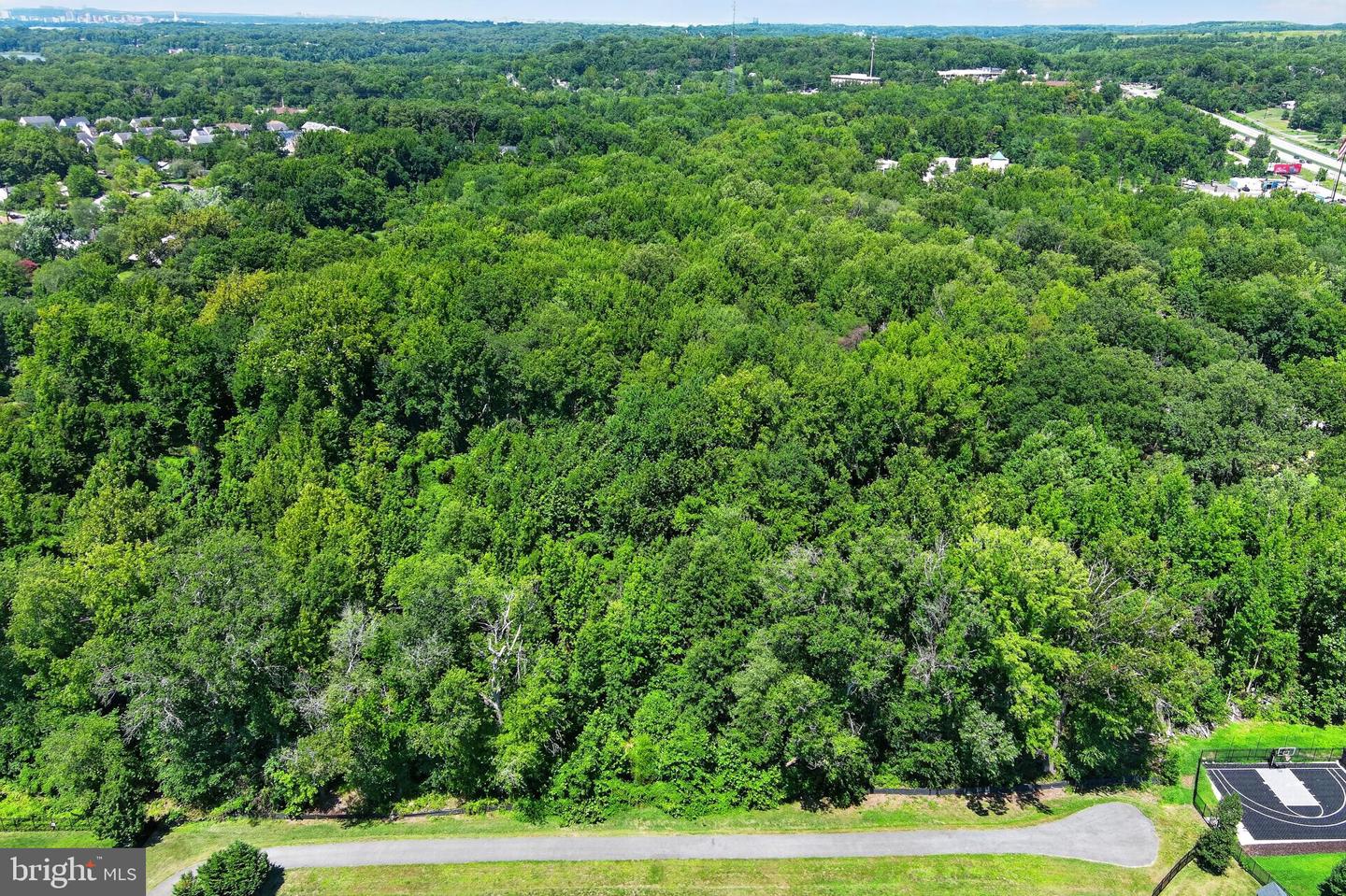 11715 Aries Dr Property Photo 4