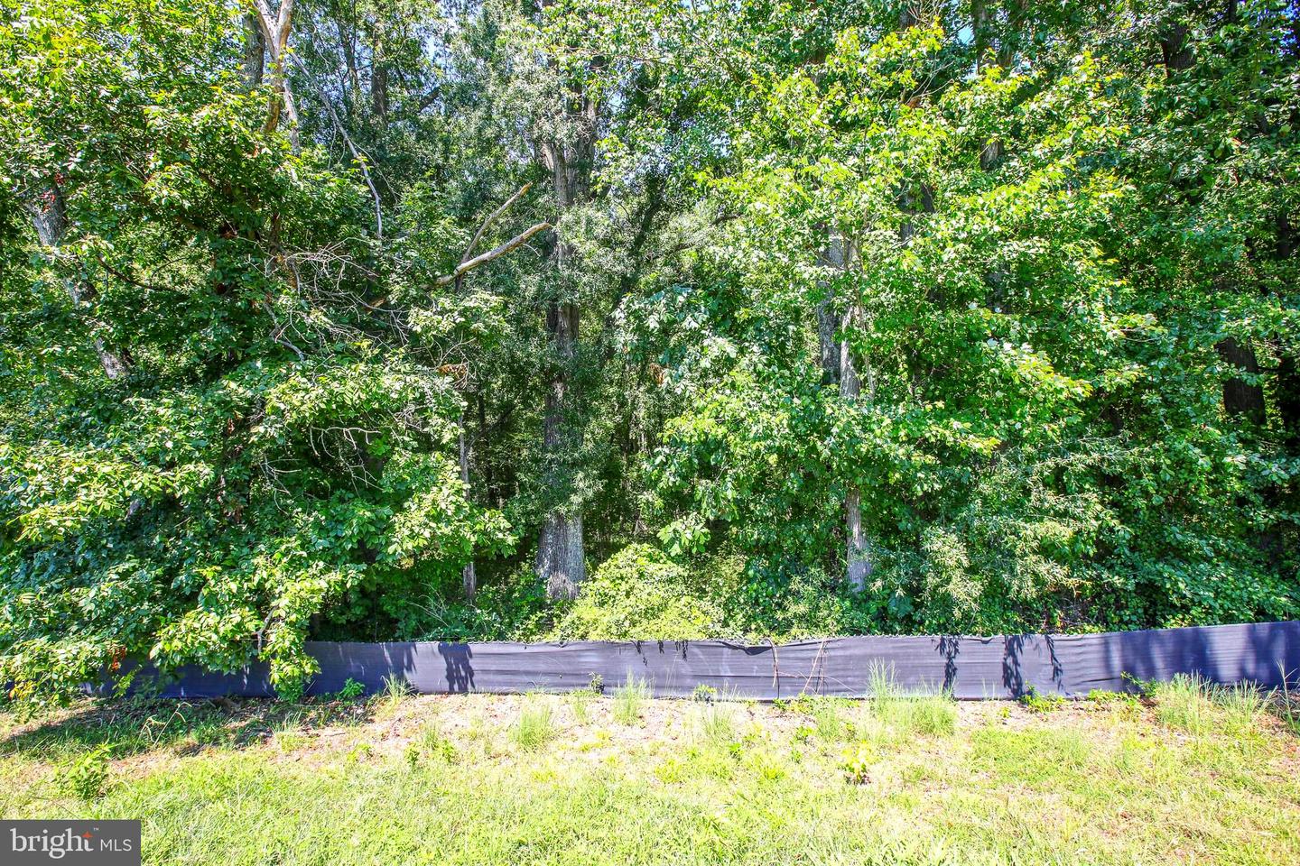 11715 Aries Dr Property Photo 13