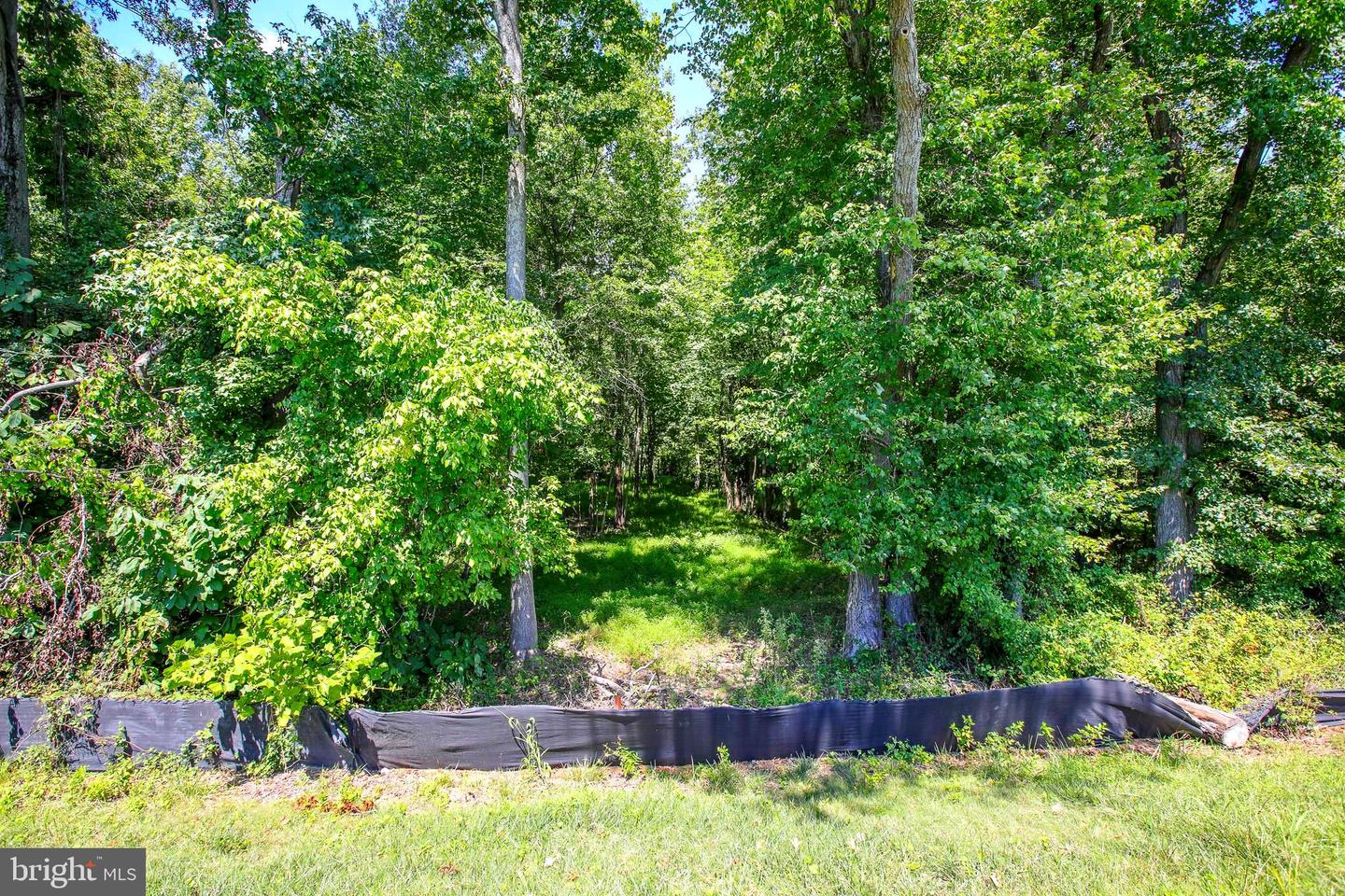 11715 Aries Dr Property Photo 14