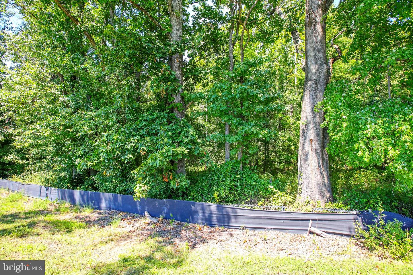 11715 Aries Dr Property Photo 15