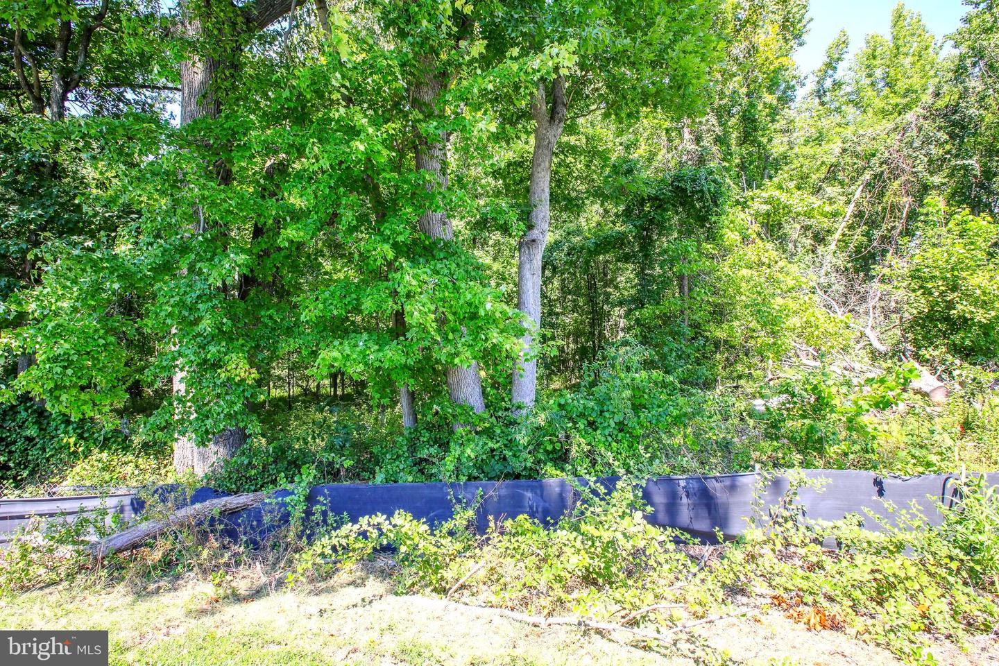 11715 Aries Dr Property Photo 16