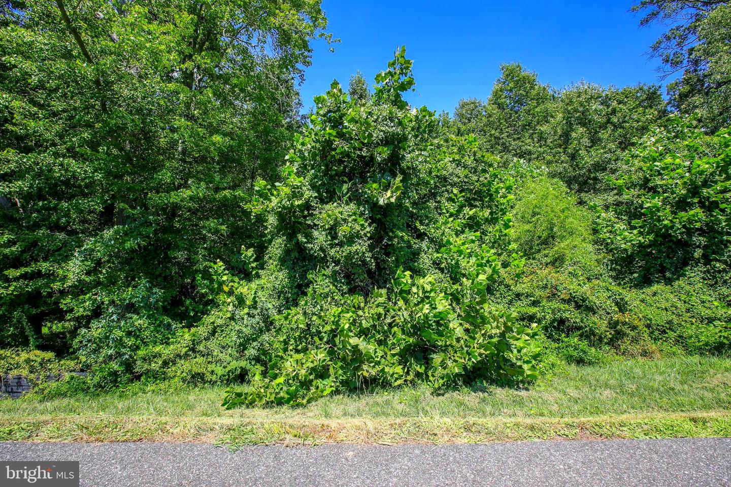 11715 Aries Dr Property Photo 17