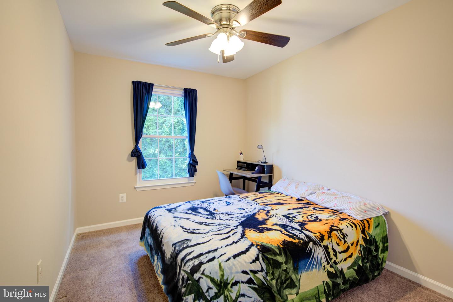 10317 Broom Ln Property Photo 35