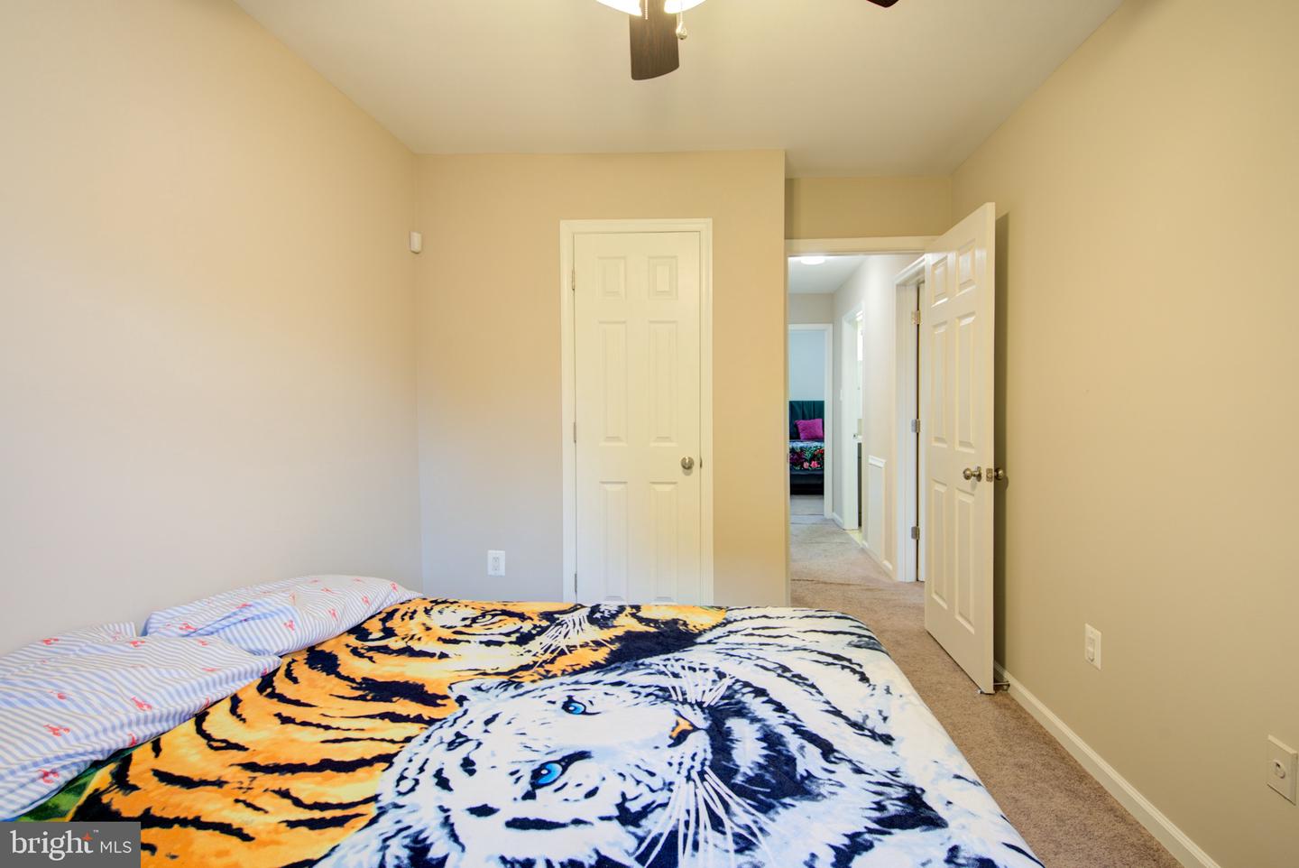 10317 Broom Ln Property Photo 36