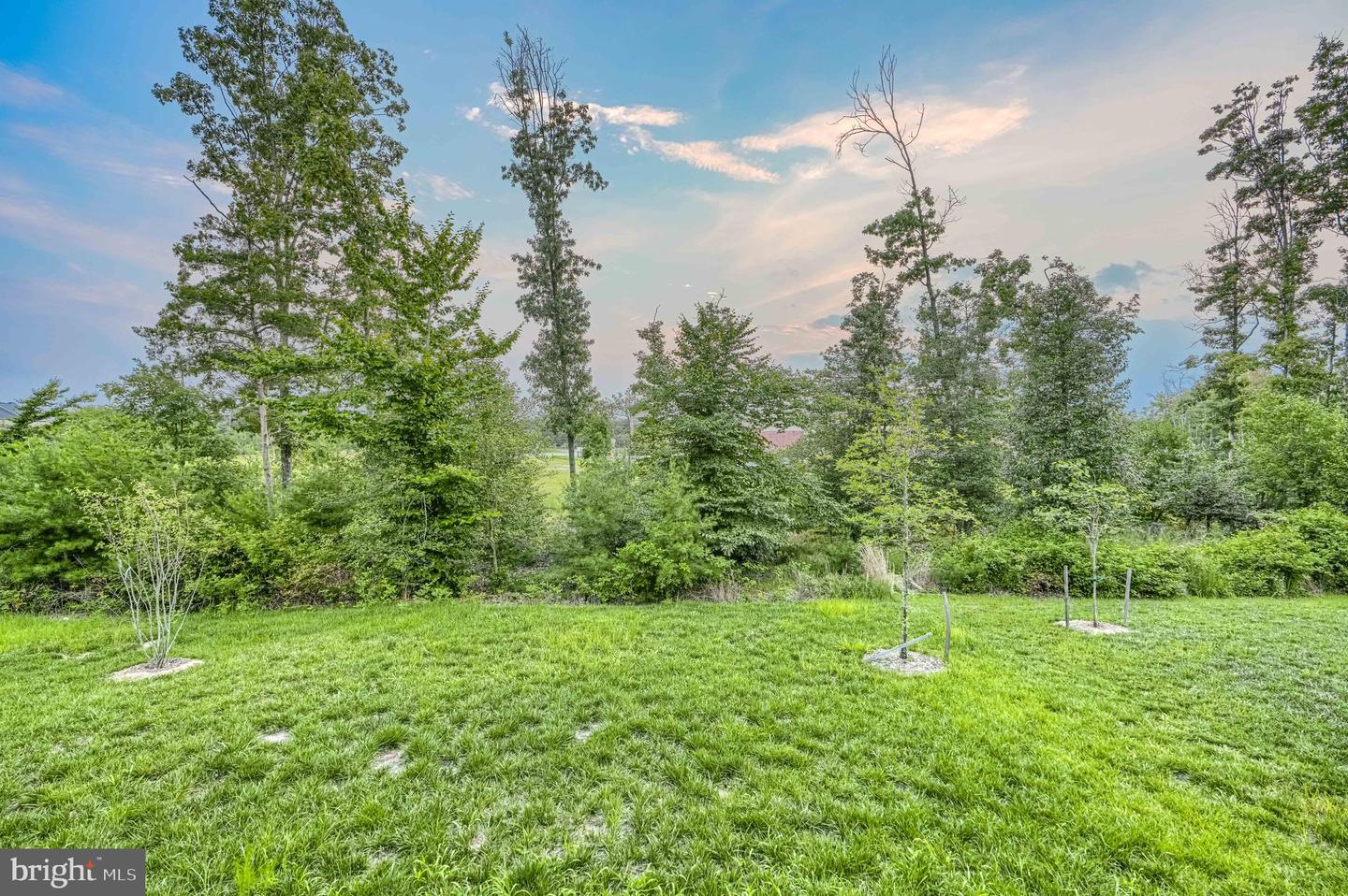 14721 Silver Hammer Way Property Photo 47