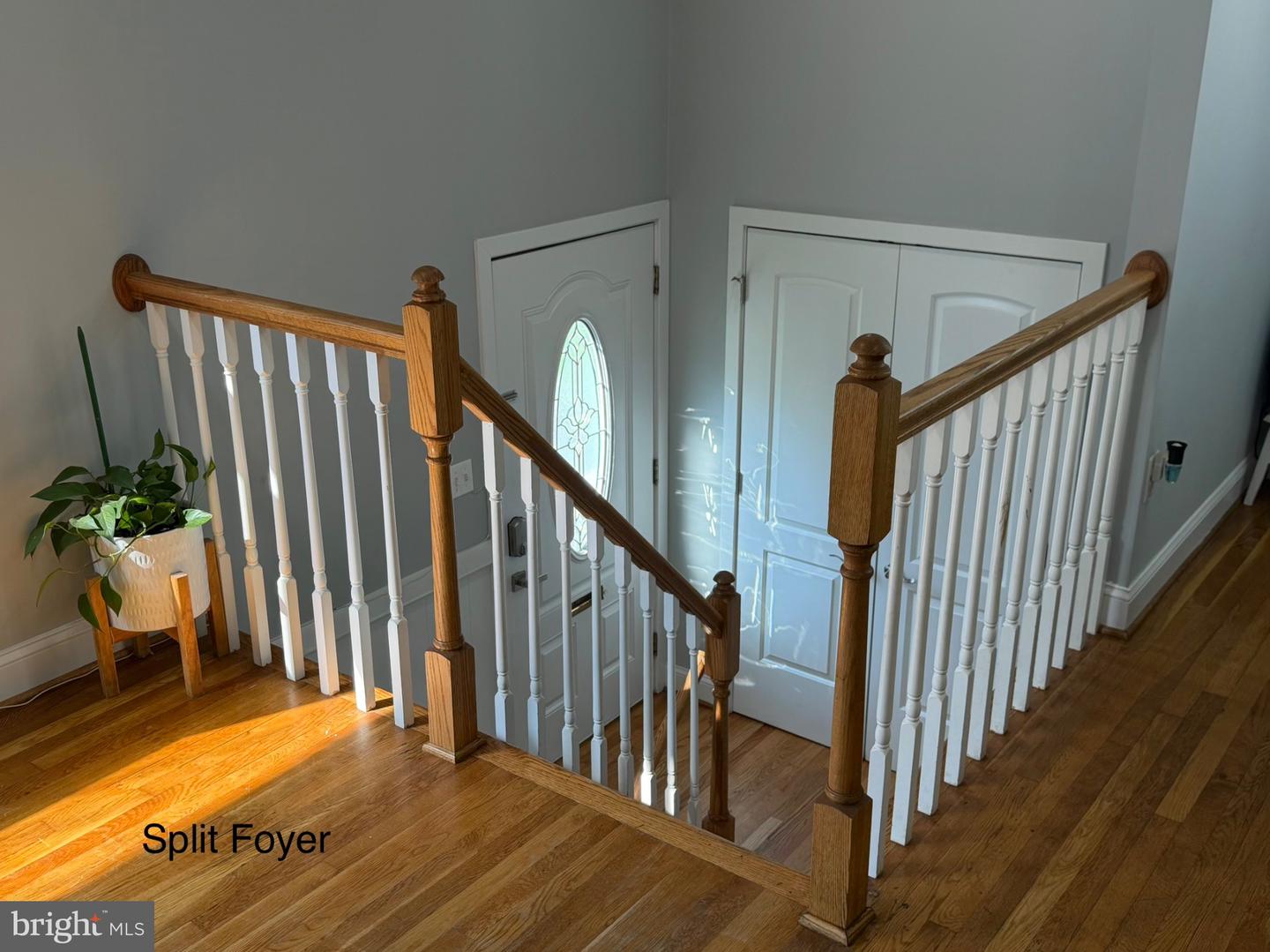 9210 Alcona St Property Photo 2