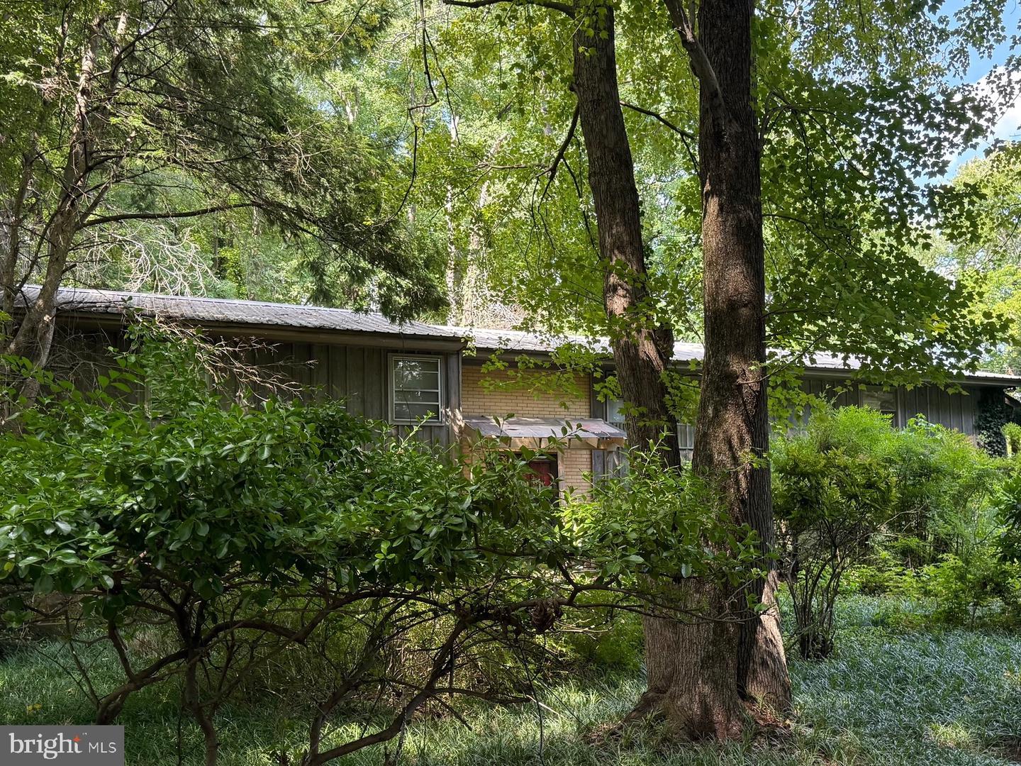 4904 Woodsy Way Property Photo 1