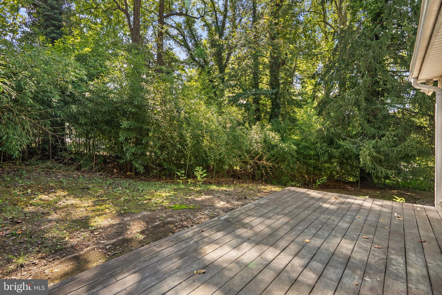 11705 Cheviot Ct Property Photo 41