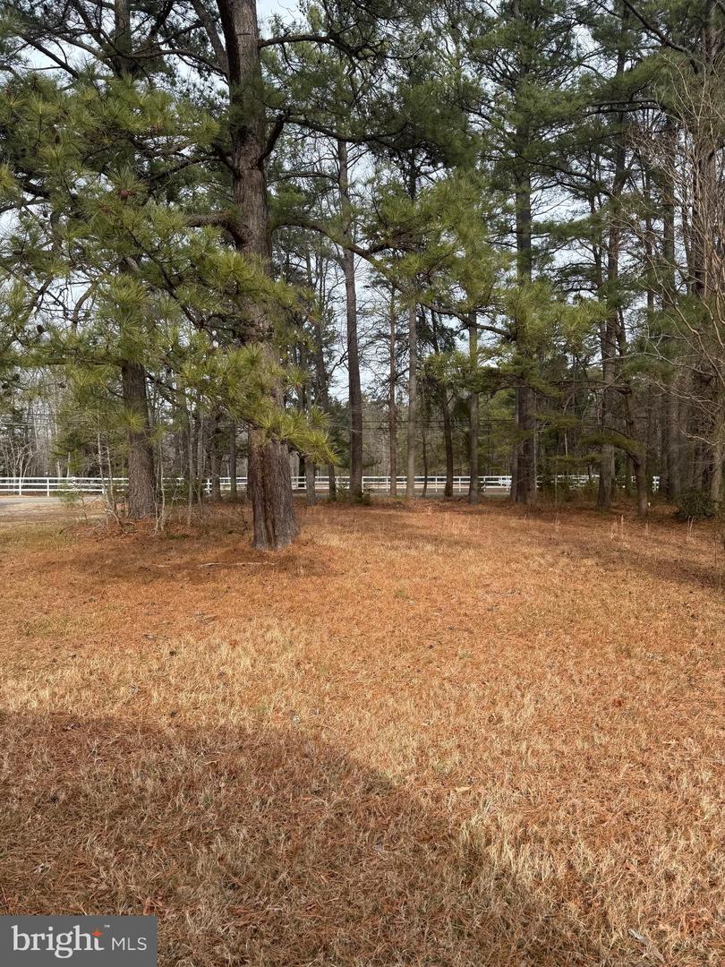 4711 DANVILLE RD Property Photo 1
