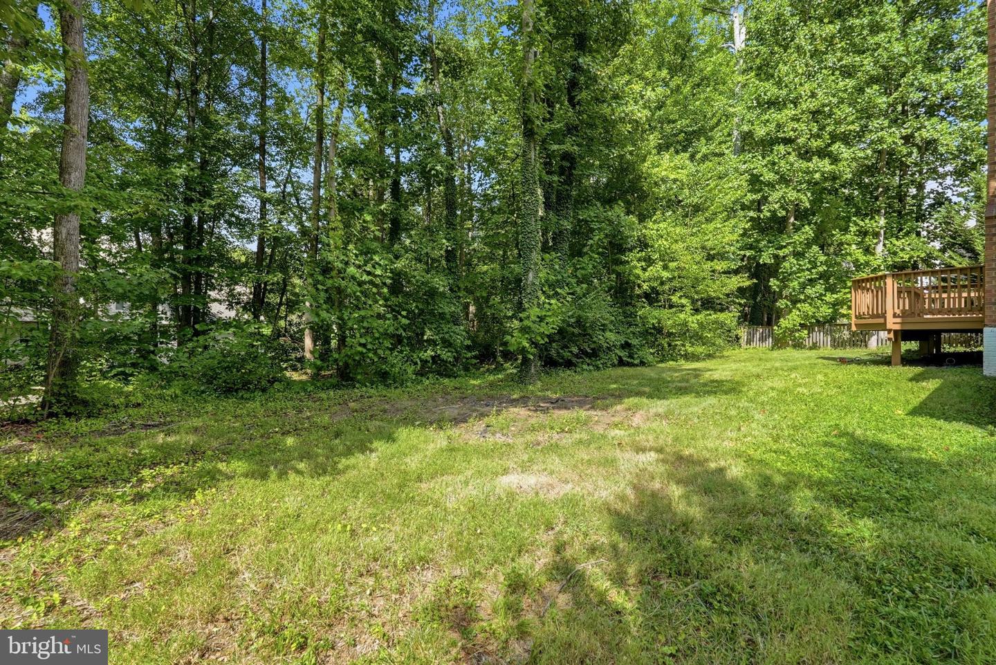 12106 Quick Fox Ln Property Photo 71