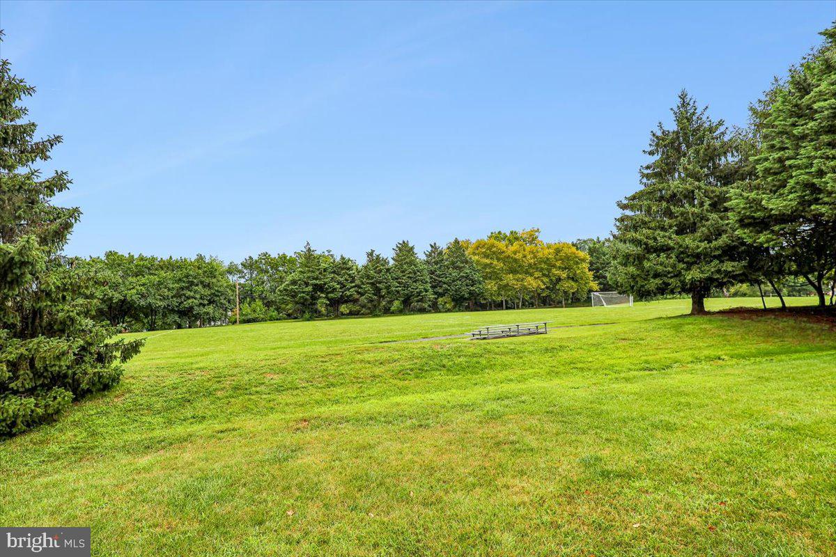 15706 Easthaven Ct #804 Property Photo 11