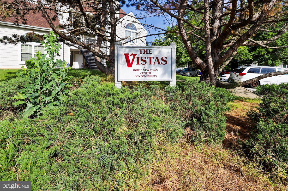 15706 Easthaven Ct #804 Property Photo 12