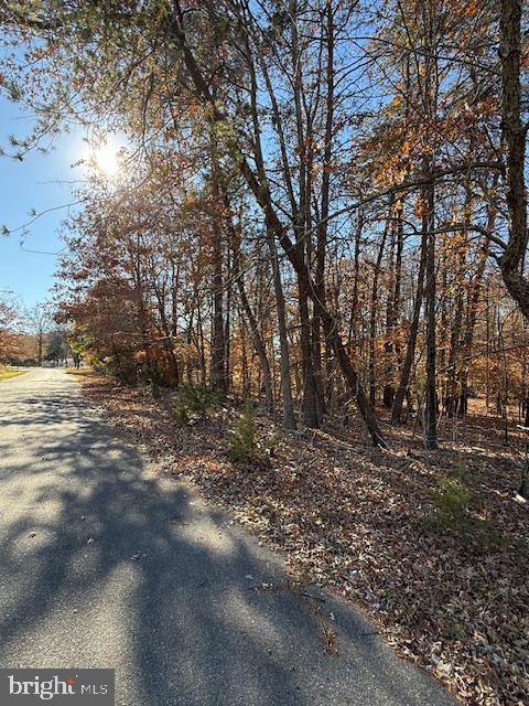 15413 Main Blvd Blvd Property Photo 6
