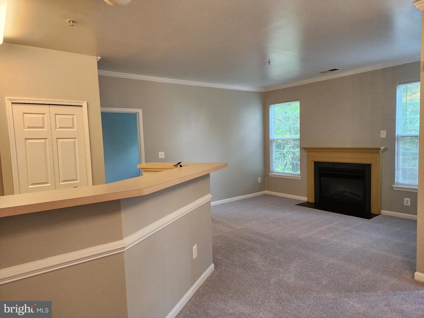 2805 Forest Run Dr #2-205 Property Photo 12