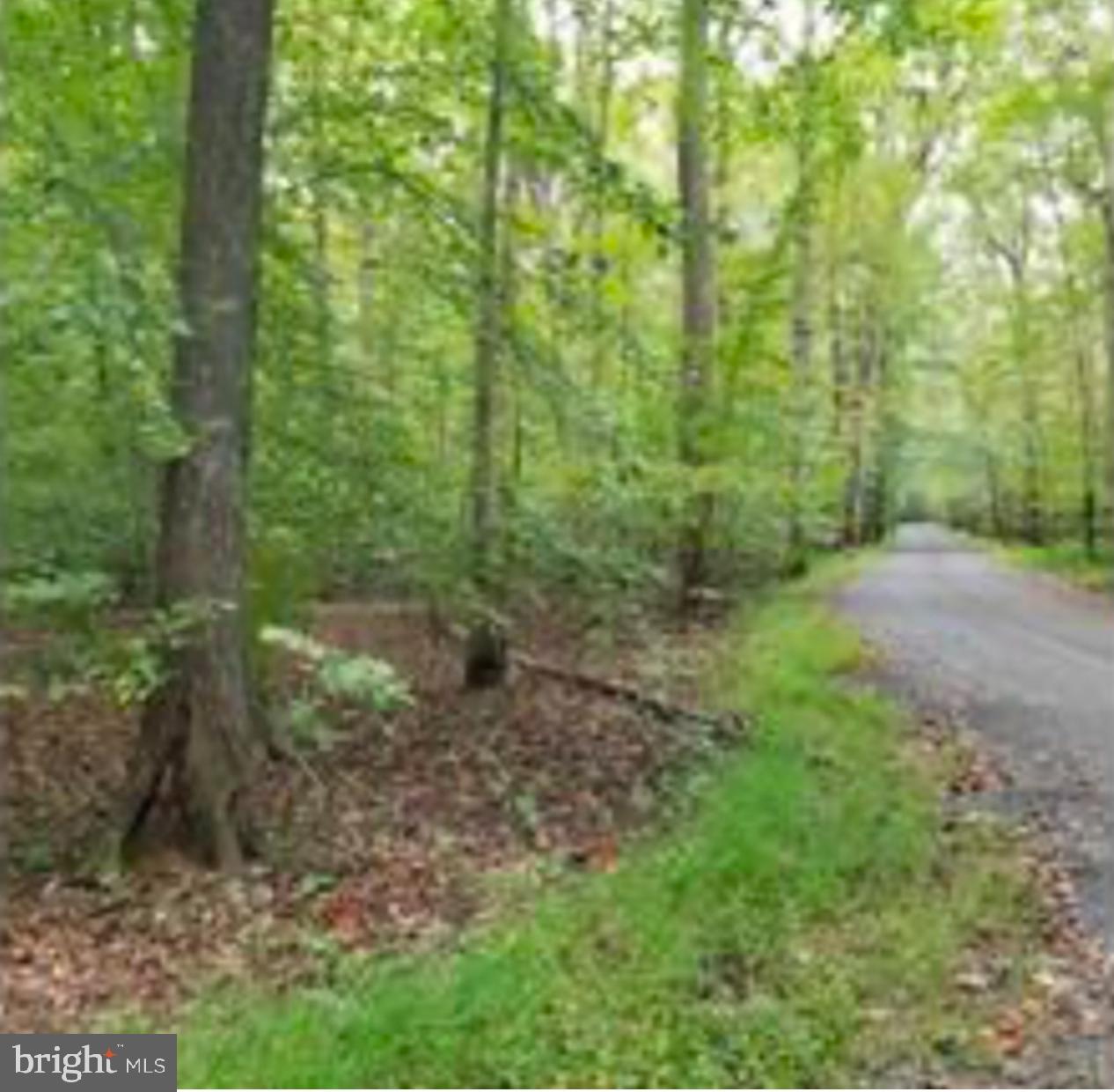 17905 Queen Anne Rd Property Photo 2