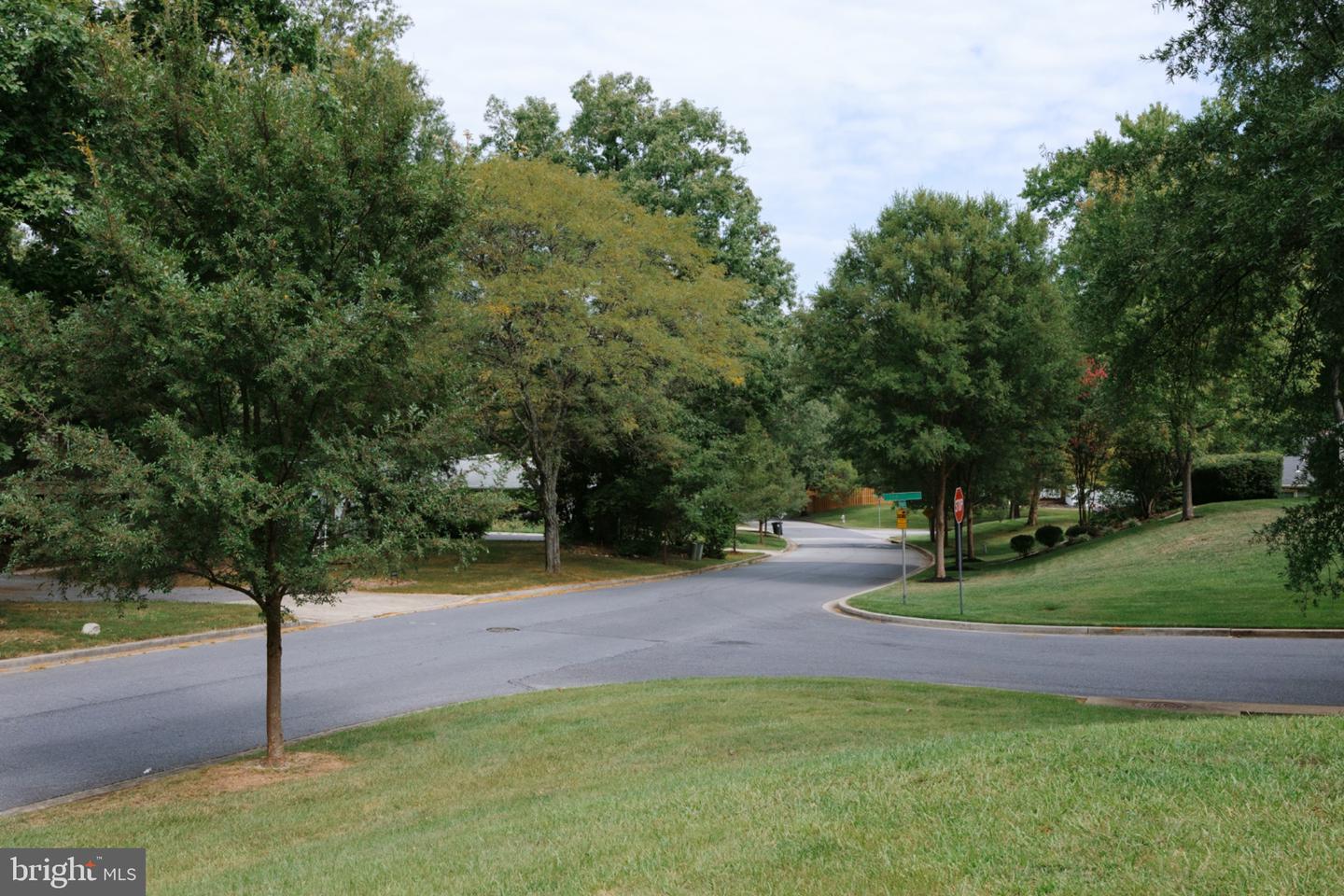 12801 Fernwood Turn Property Photo 8