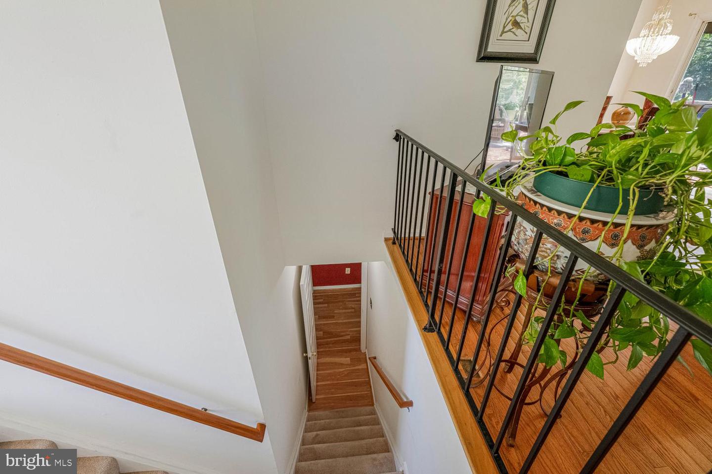 11819 Sylvia Dr Property Photo 31