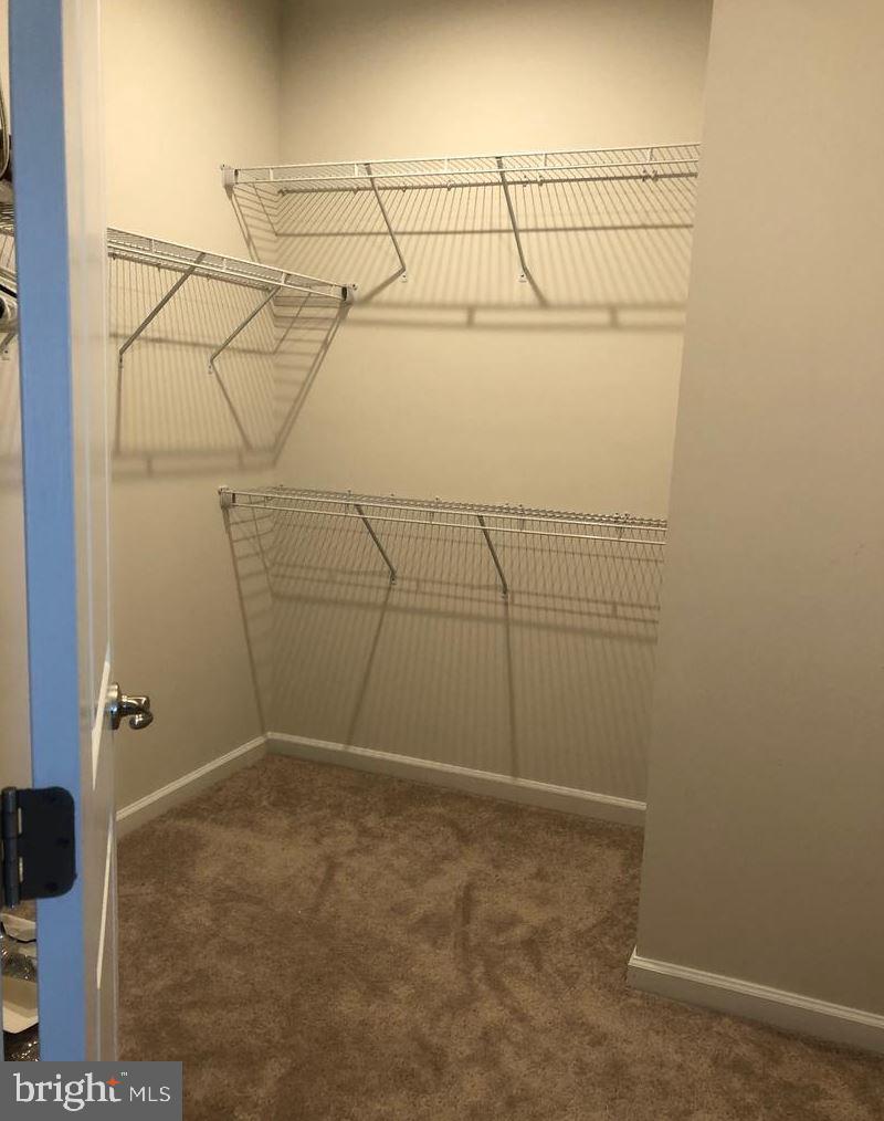 10048 Dorsey Ln Property Photo 15