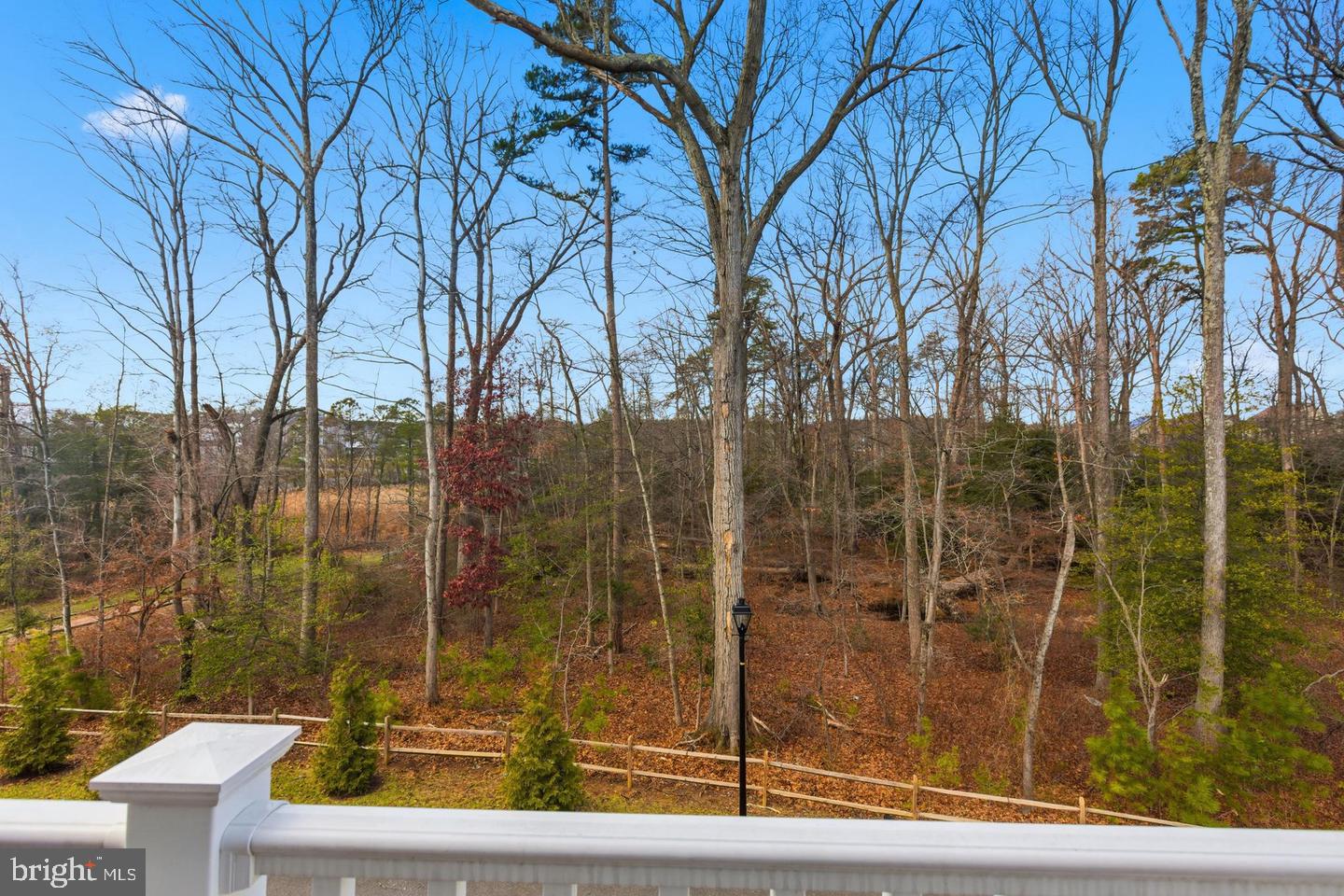10414 John Glenn St Property Photo 15