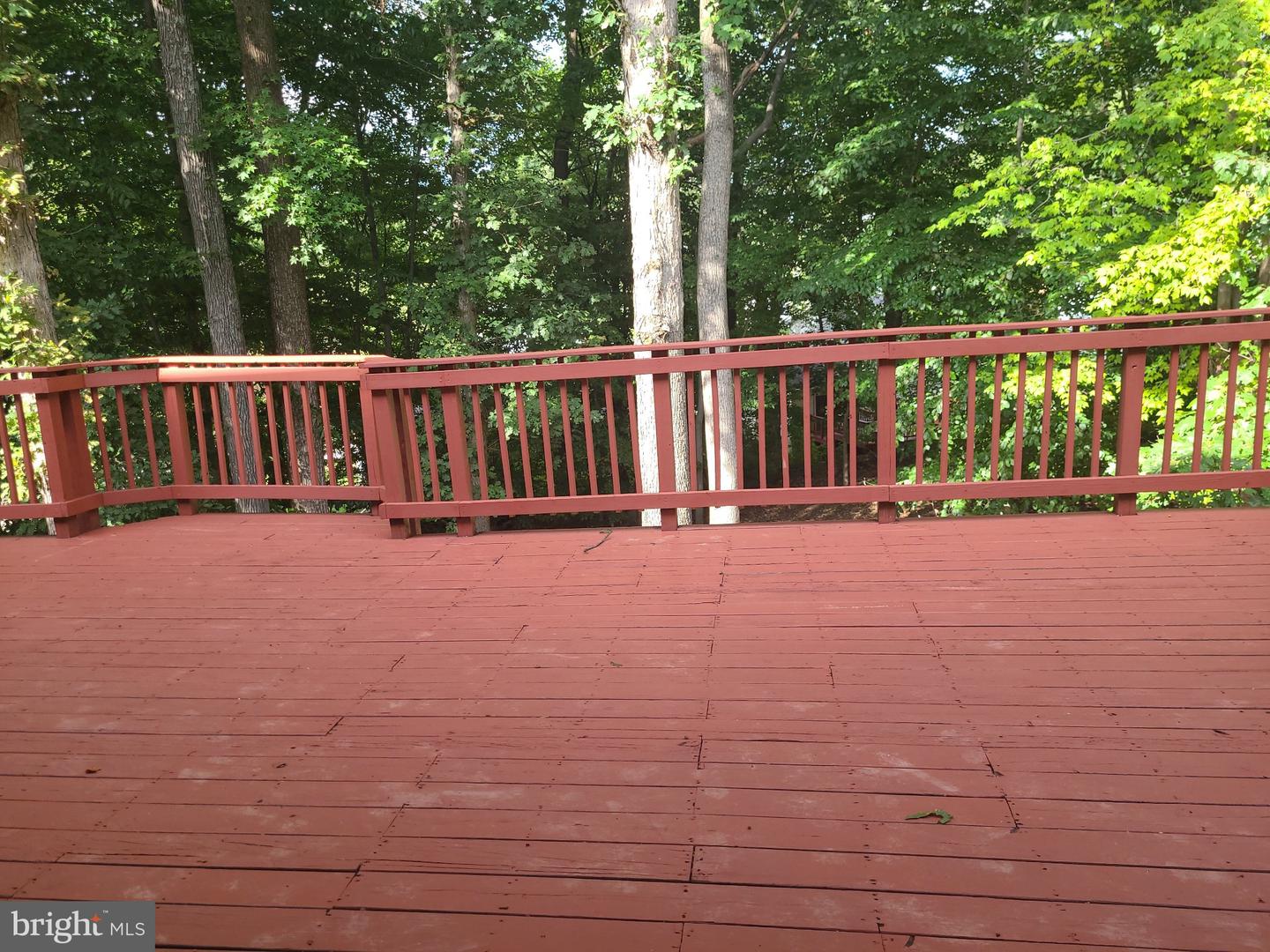3004 Jaywick Ct Property Photo 55