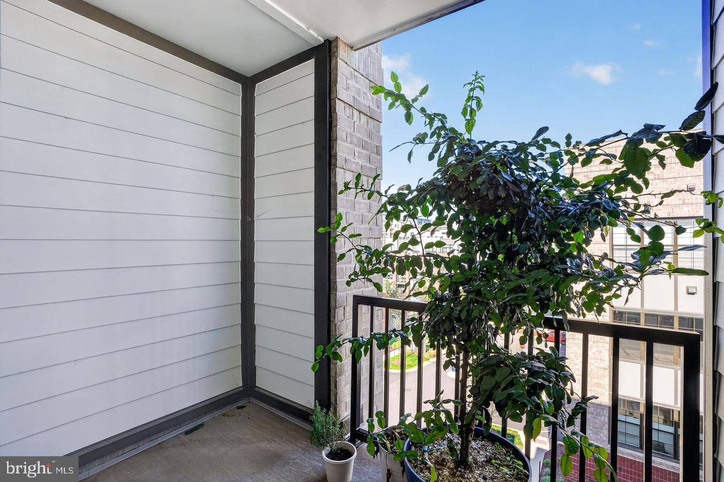 102 Saint Ives Pl #401 Property Photo 29