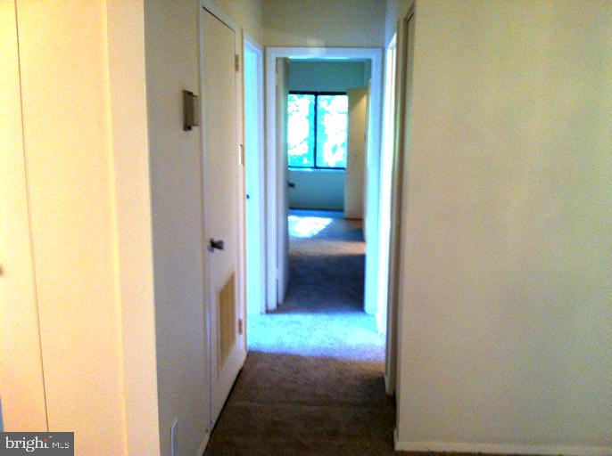 11242 Cherry Hill Road Rd #303 Property Photo 17