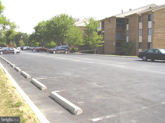 11242 Cherry Hill Road Rd #303 Property Photo 28