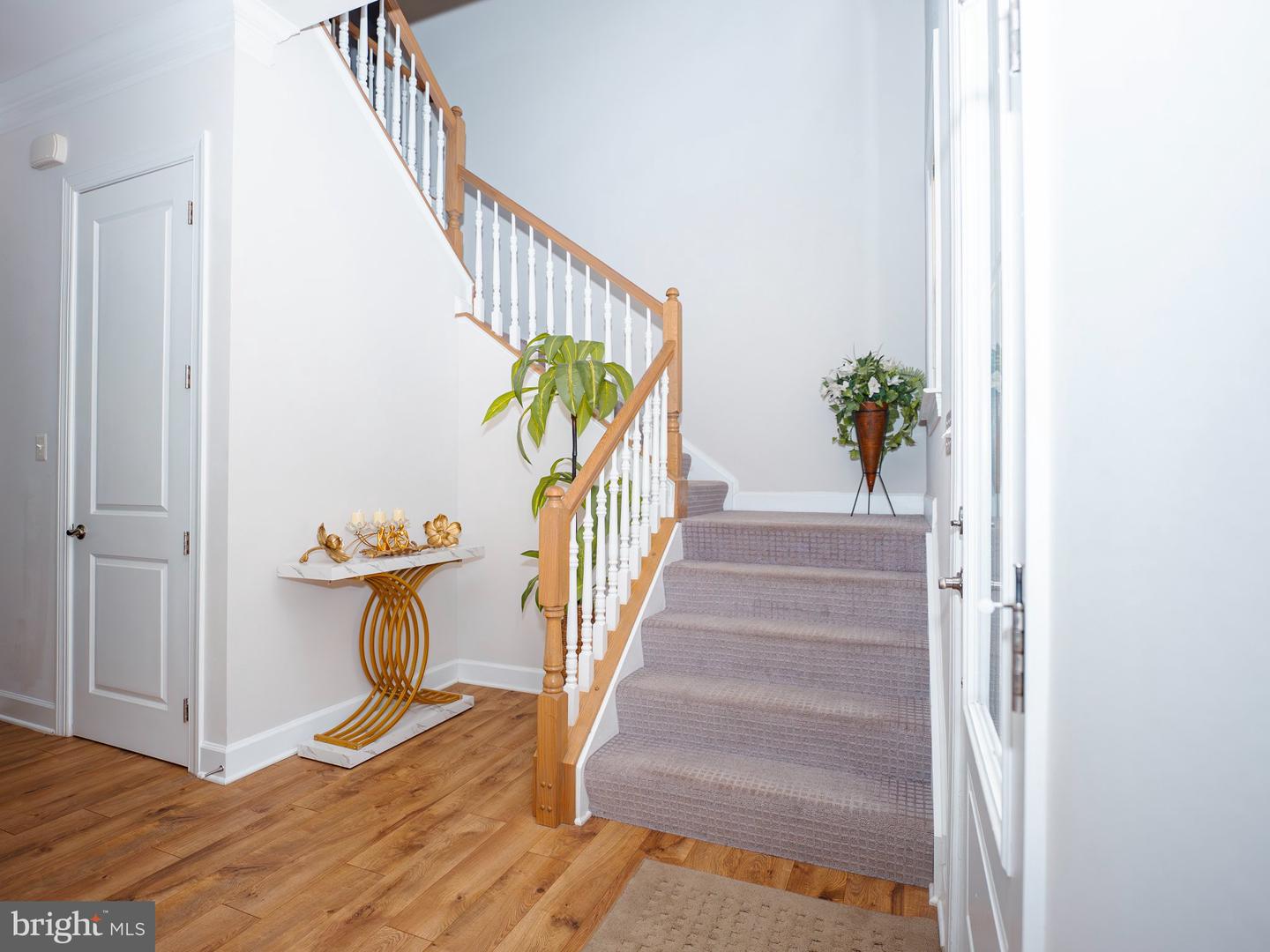 4811 Kingsford Manor Ct Property Photo 3