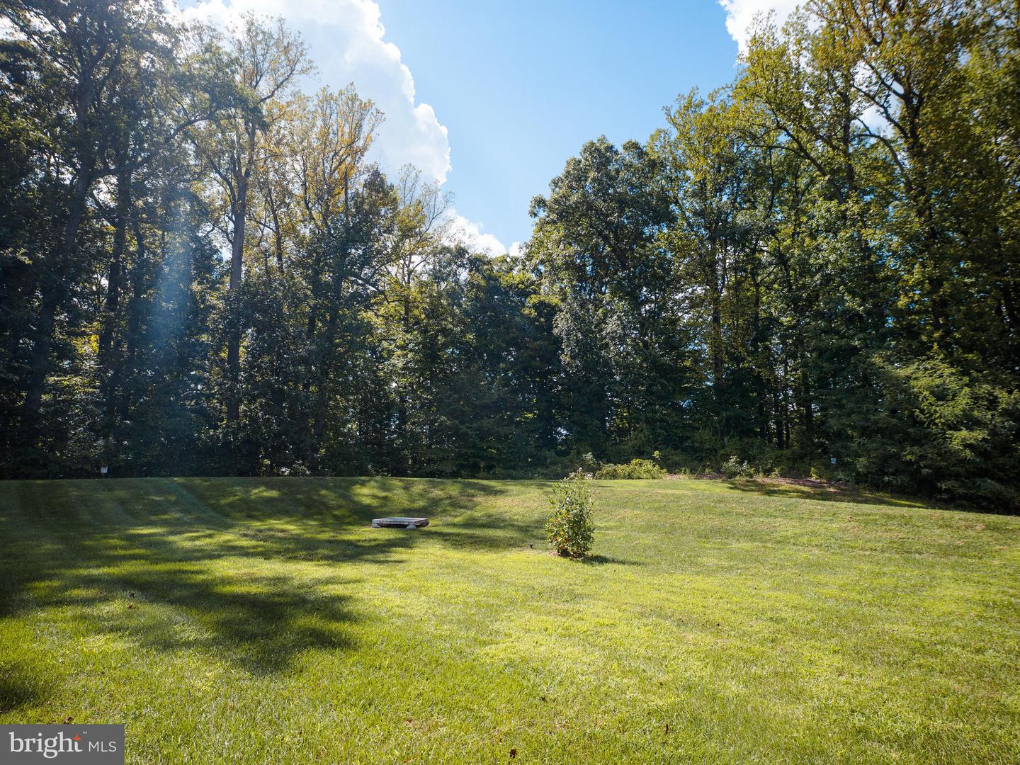 4811 Kingsford Manor Ct Property Photo 33