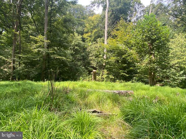 500 HOLLY RD Property Photo 1