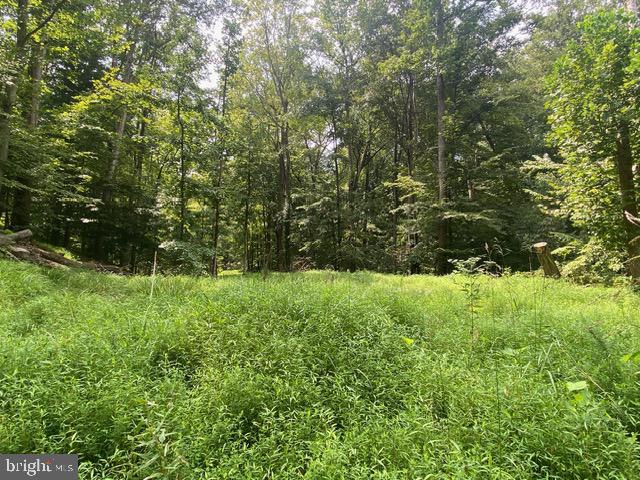 500 Holly Rd Property Photo 3