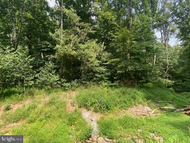 500 Holly Rd Property Photo 5