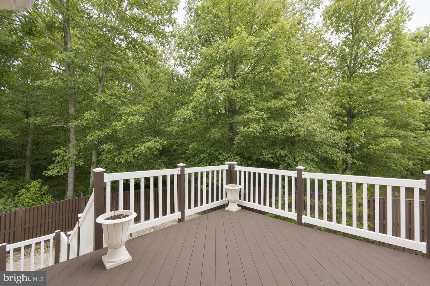 10225 Everley Ter Property Photo 39