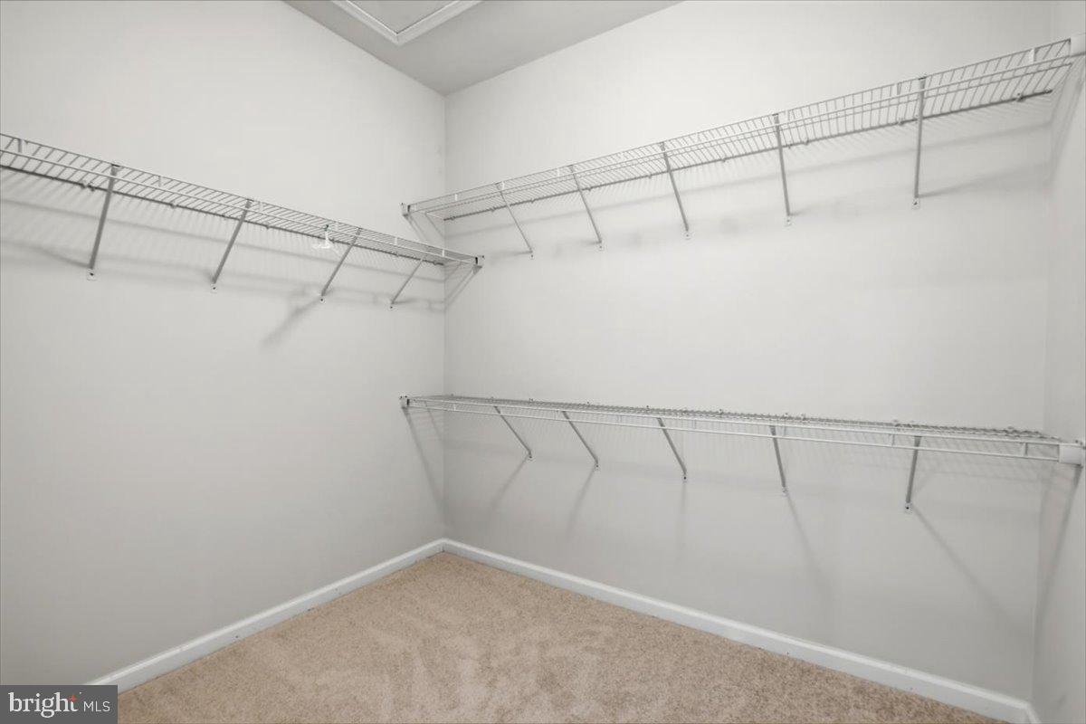 10102 Dorsey Ln Property Photo 16