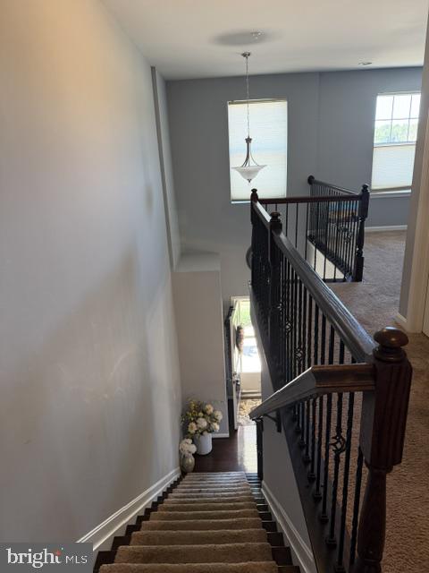 15100 Lord Howe Way Property Photo 41
