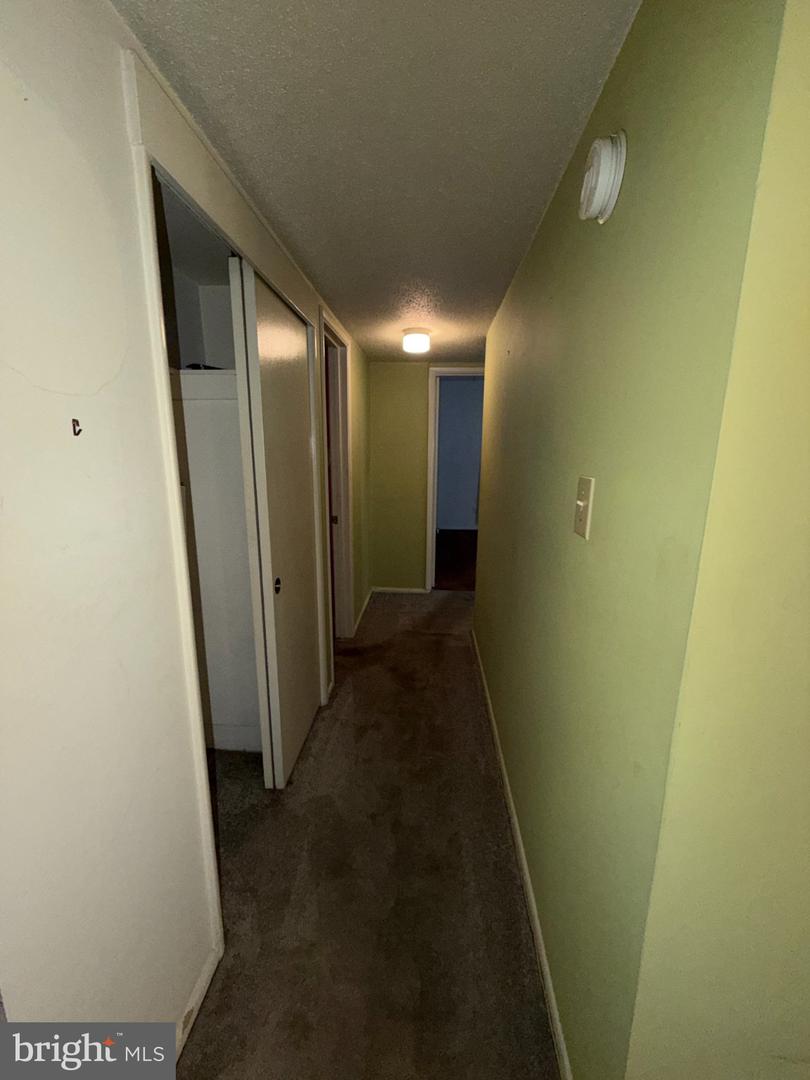 9203 New Hampshire Ave #206 Property Photo 6