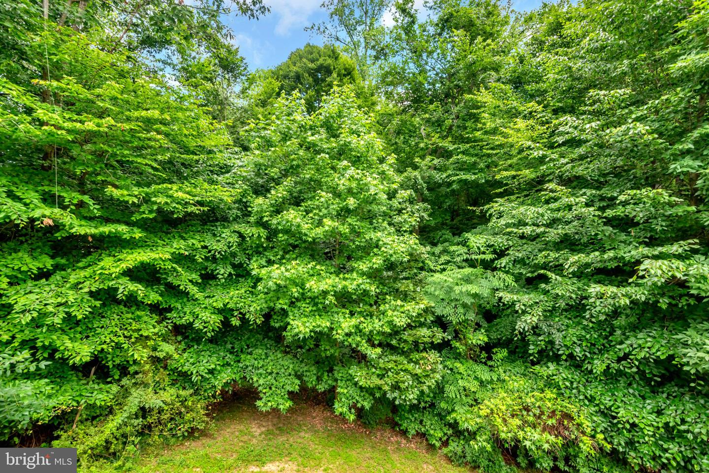 17304 Newton Ct Property Photo 39