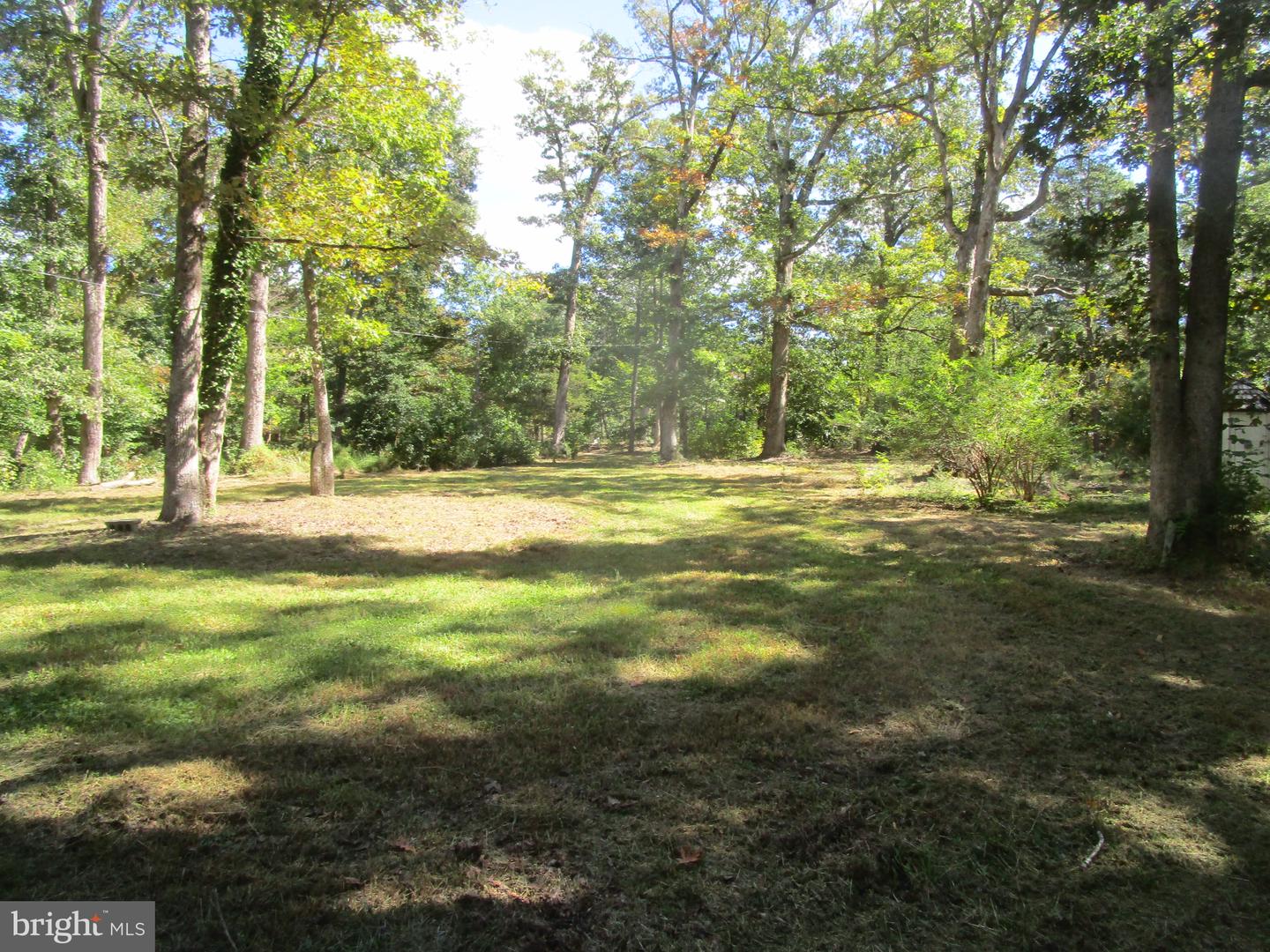 16605 Bealle Hill Rd Property Photo 18