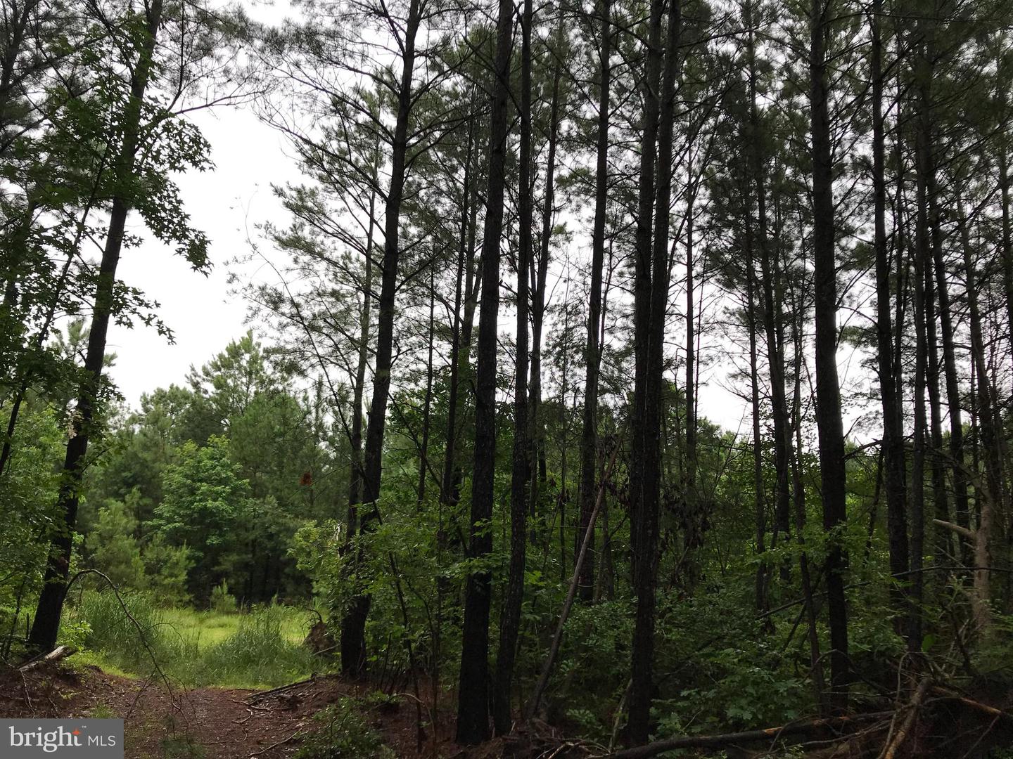 Lot 1 - E/kent Point Road Romancoke Property Photo 6
