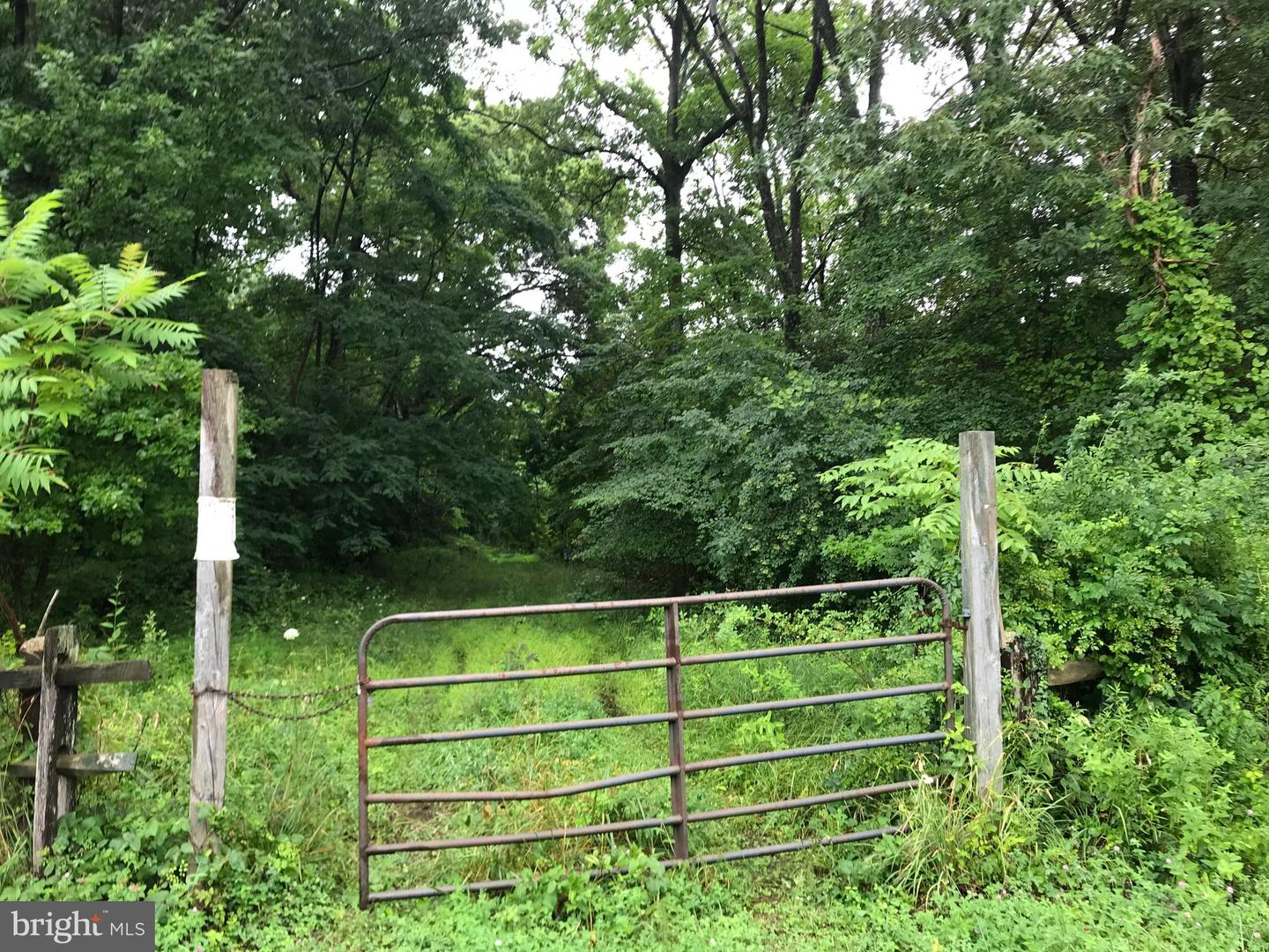 Lot 1 - E/kent Point Road Romancoke Property Photo 8