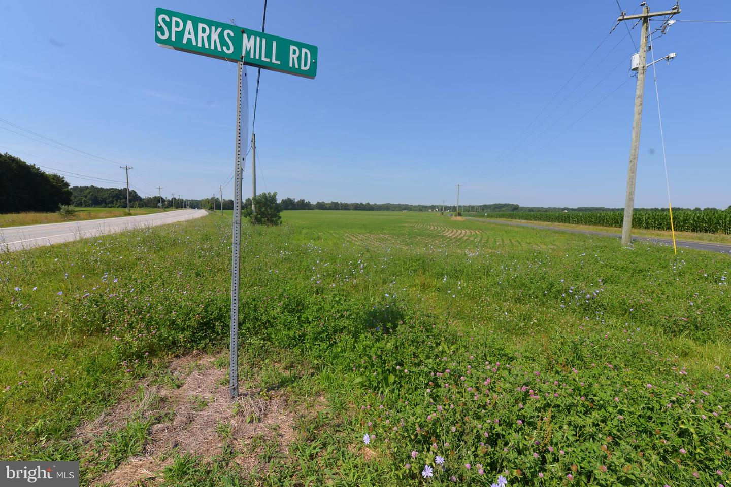 Rt 213 Both Sides Sparks Mill At Route 213 Rd Property Photo