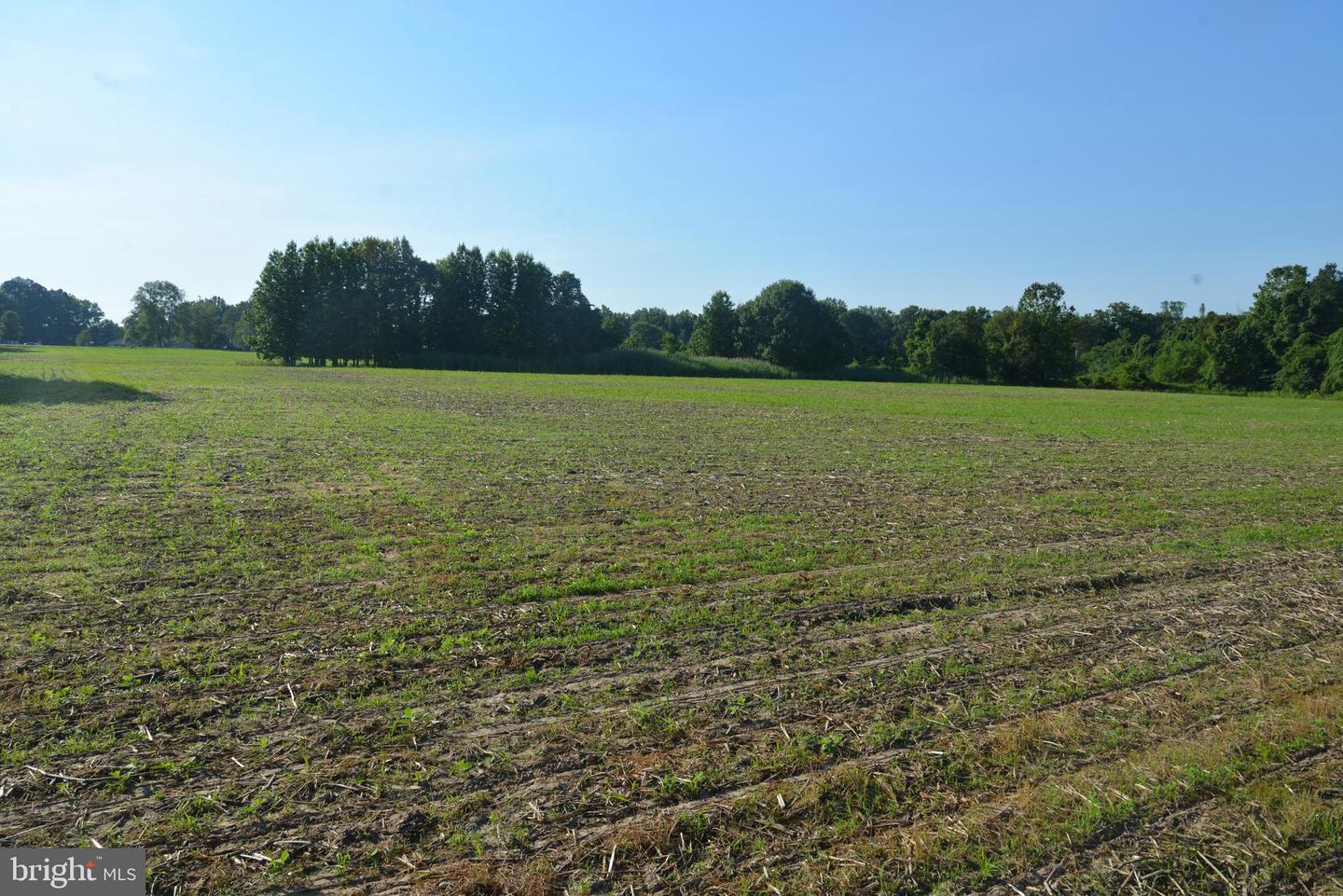 Sparks Corner Sparks Mill At Route 213 Rd Property Photo 16