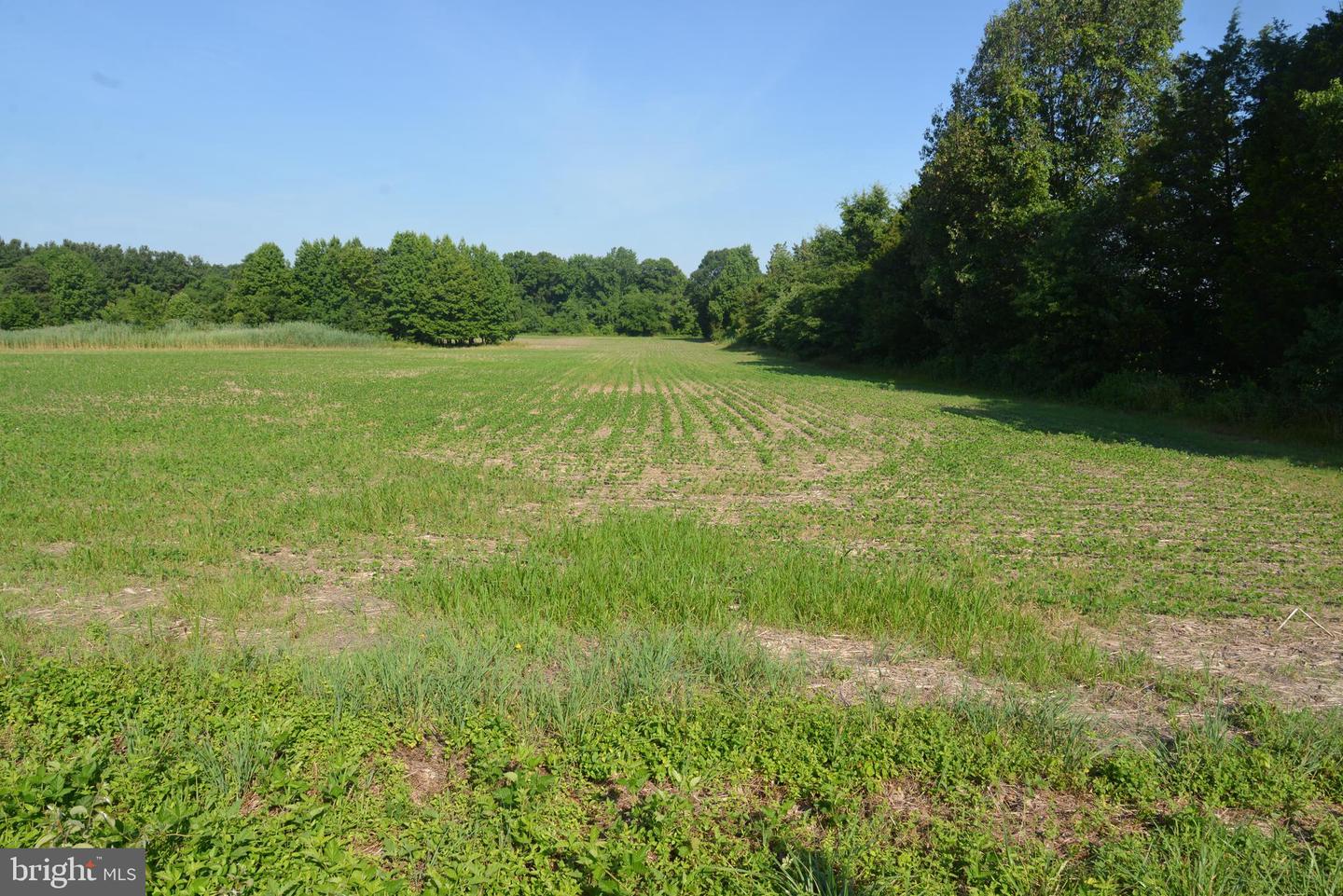 Sparks Corner Sparks Mill At Route 213 Rd Property Photo 28