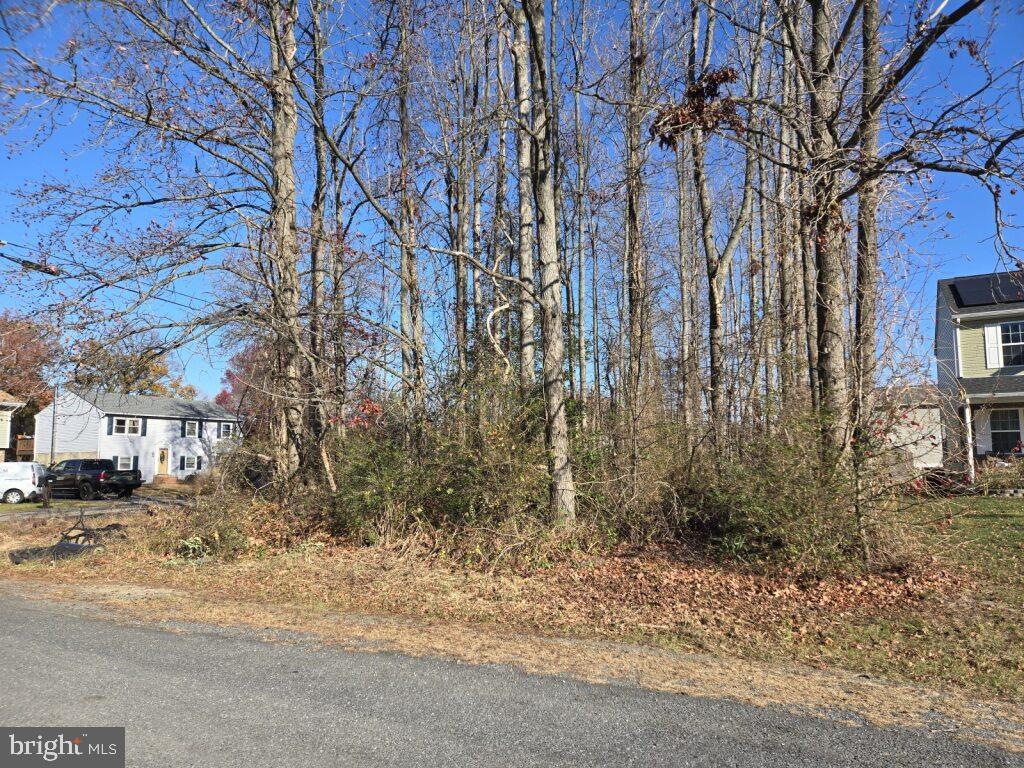 101 Oak St Property Photo 3