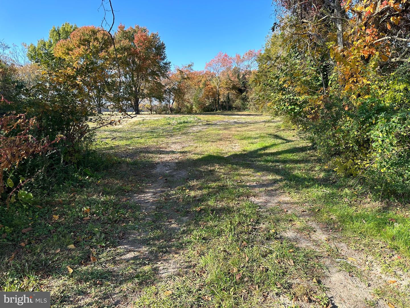 3215 Church Hill Rd Property Photo 4