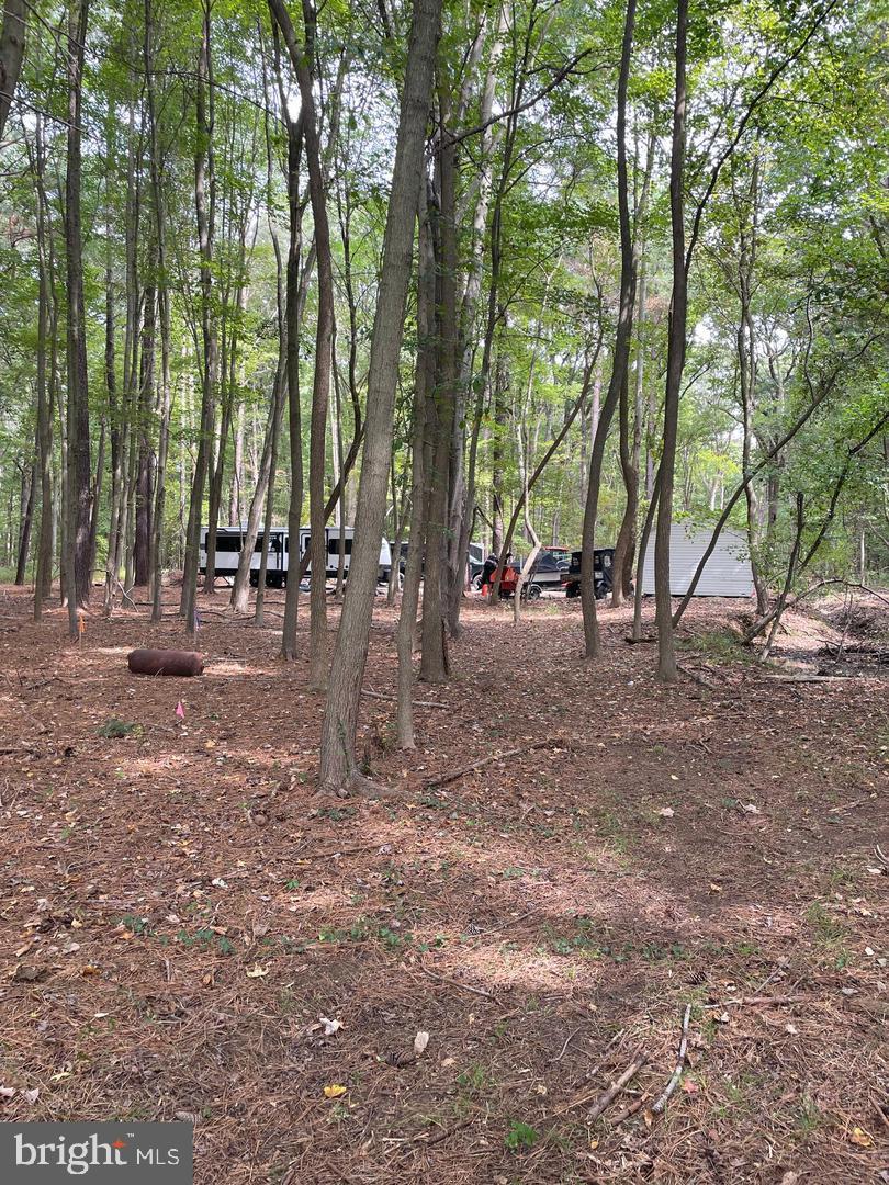 715 Winchester Creek Rd Property Photo 8