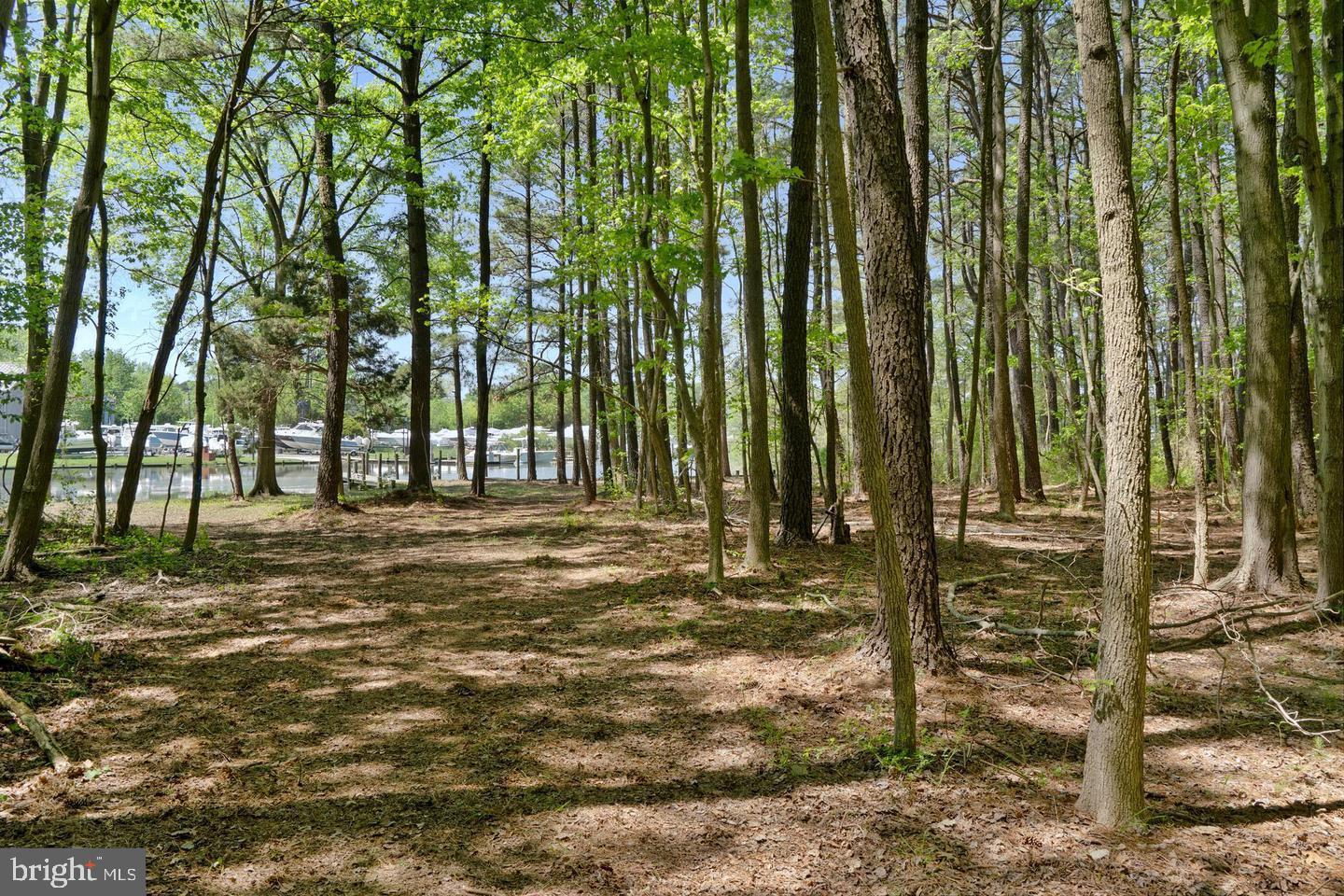 715 Winchester Creek Rd Property Photo 20