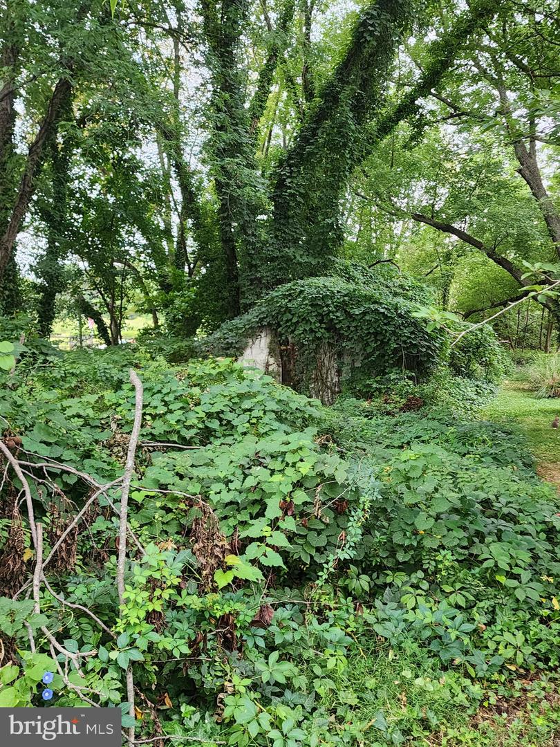 Parks Rd Property Photo 4