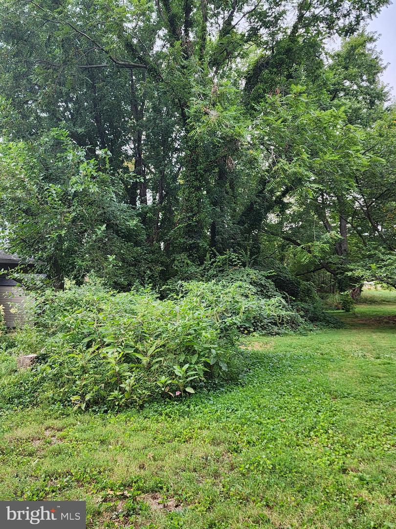 Parks Rd Property Photo 6